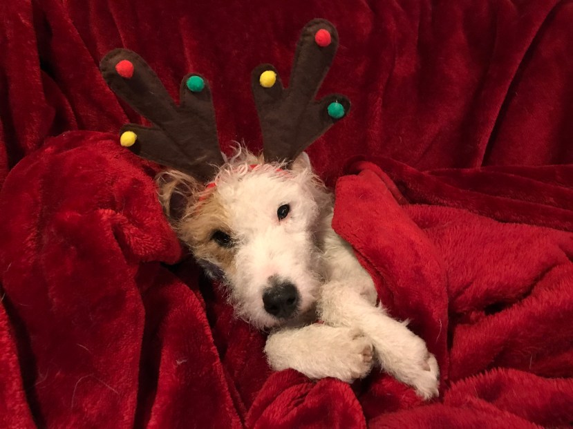 0471B7DB-9E3F-4044-809D-3321F5E5D04A