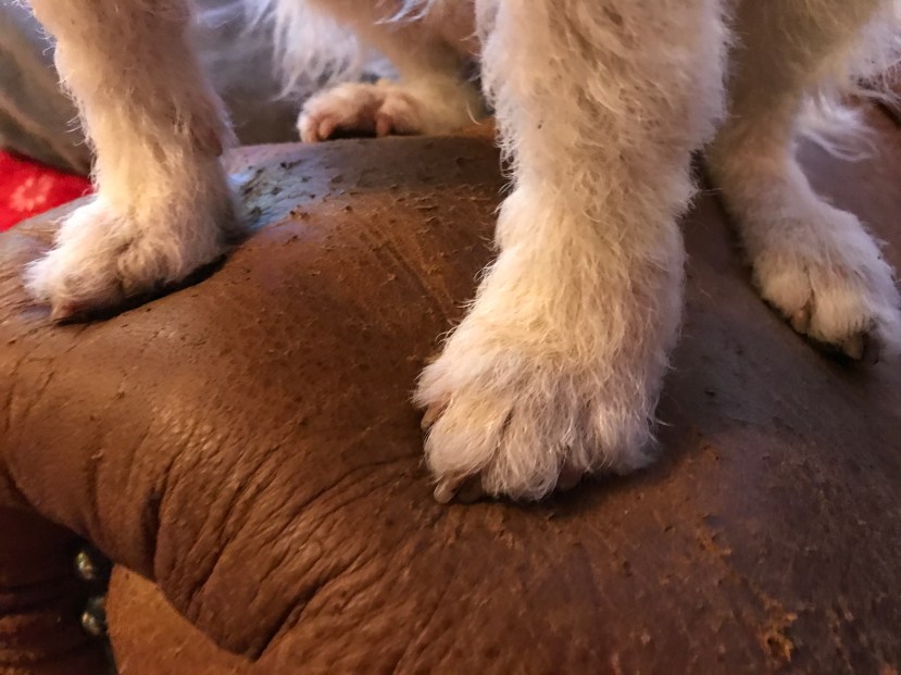 058BD26B-9BE2-409B-9C1B-6BF95AB3C14C