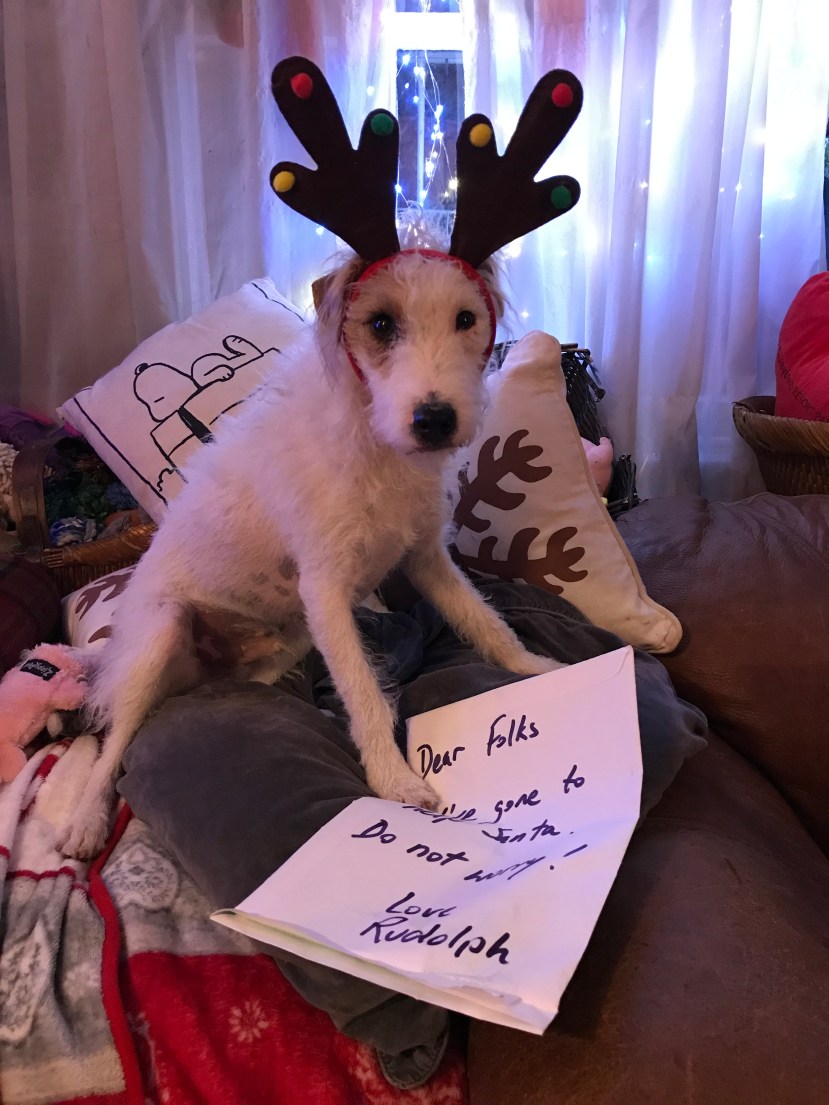 0E7897E2-7C34-4E36-A5AE-95751E749453