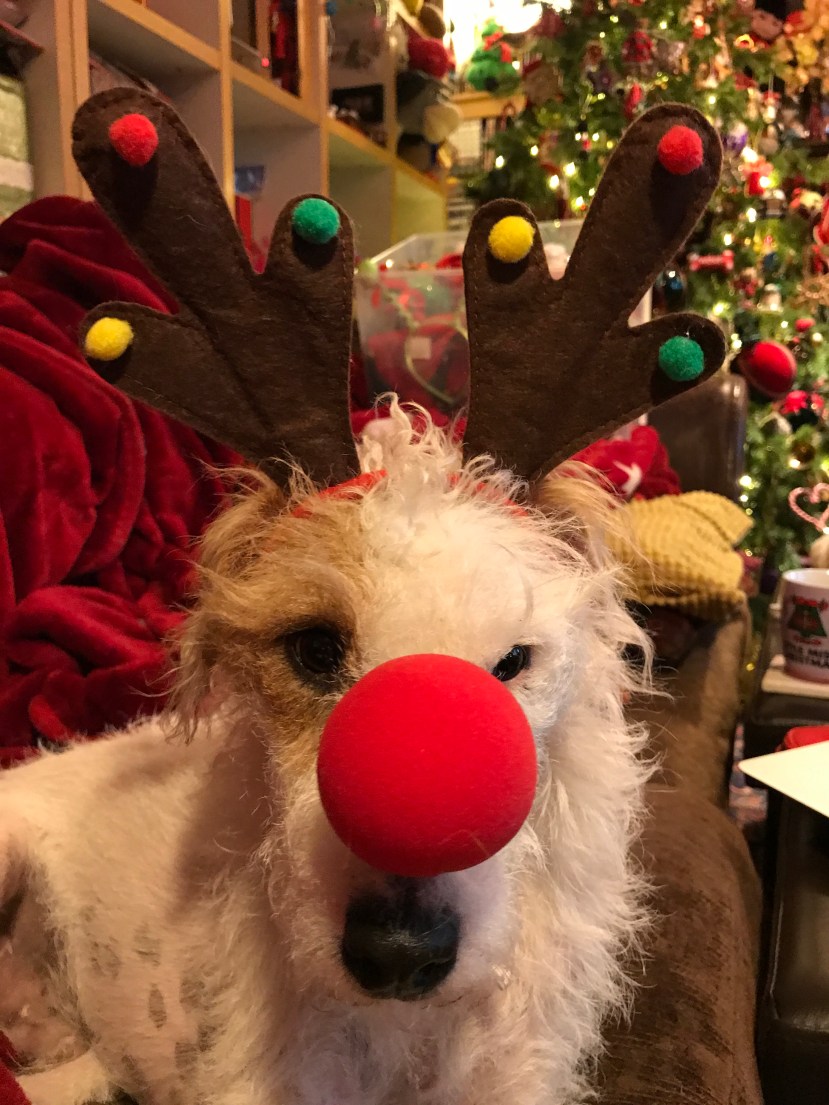 1AE683F3-A118-4610-A407-2FE3FF1545EC