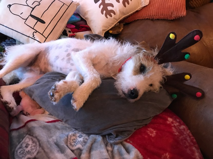 1C0C591C-A2E4-4CB4-81BA-802971AE766B