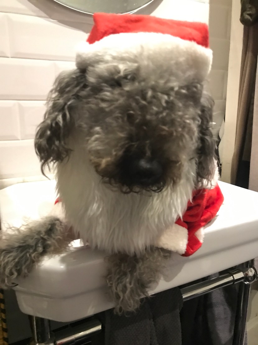 36EC3EF0-29B6-4E37-A75A-5E9FB759F15F