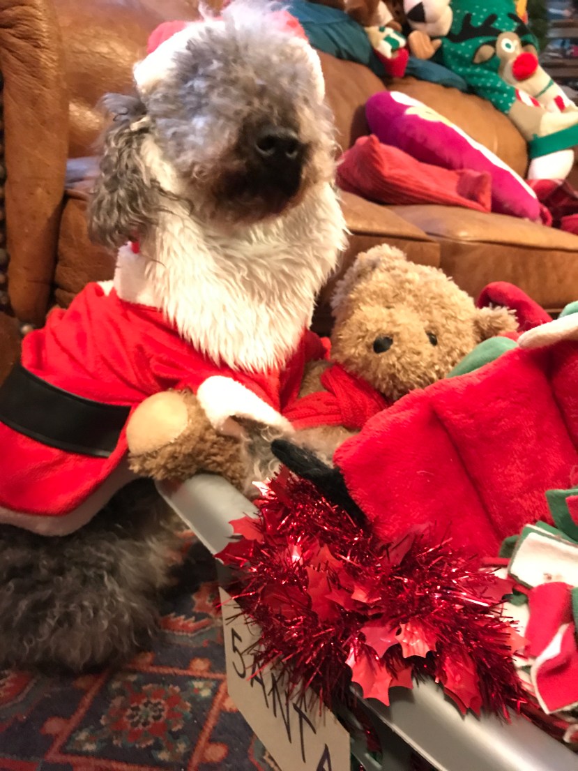 5272ACD3-EC15-4415-8B5E-83D9A218B46D