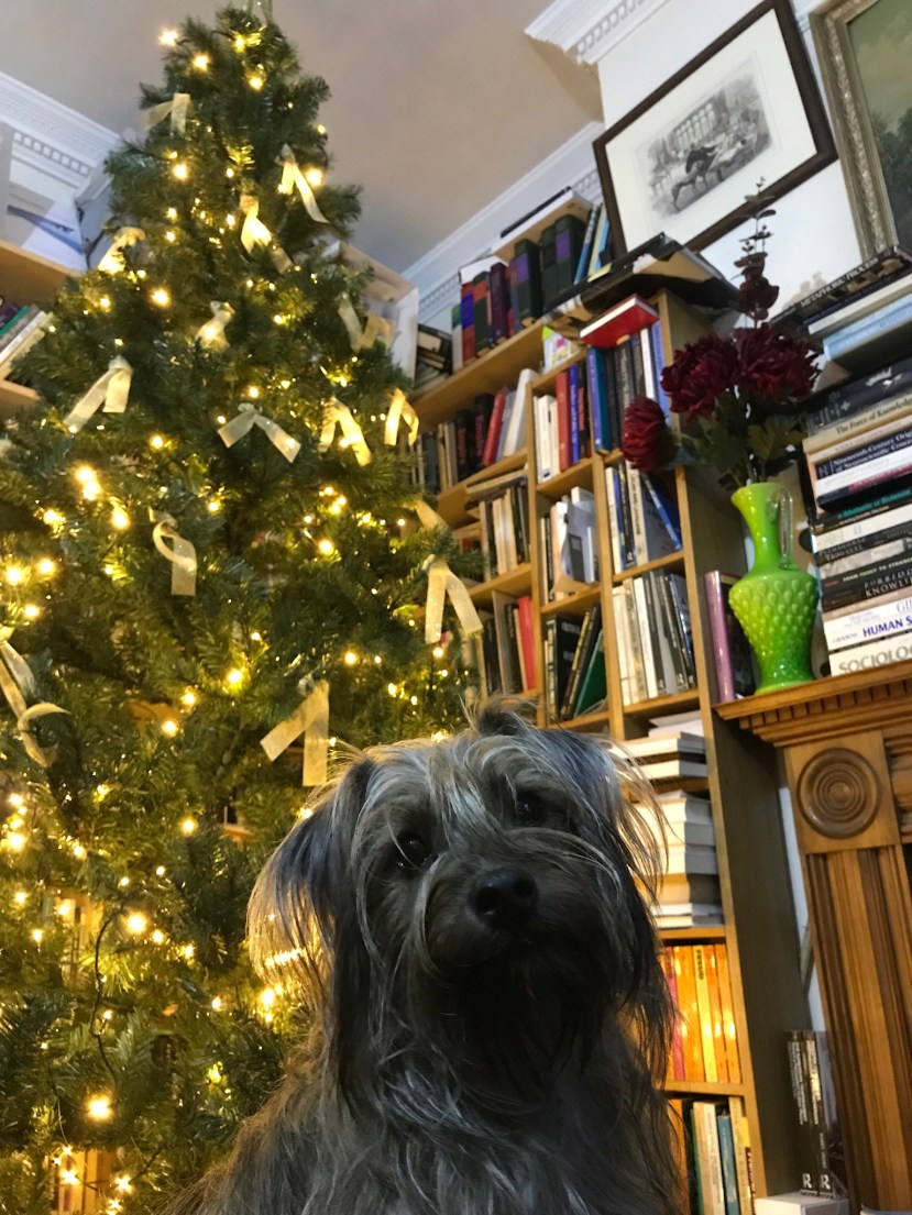 55CAE83D-1396-43DB-B242-3D32123D8883