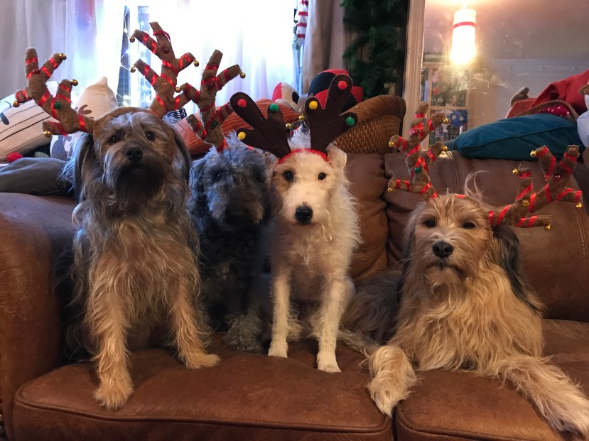 59430D40-5F29-4ADC-9A7A-64D0C966326A