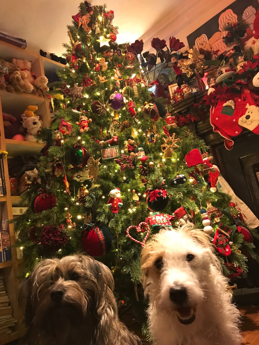 6CDC57FF-796B-4627-AB4C-D2F06C2C3340