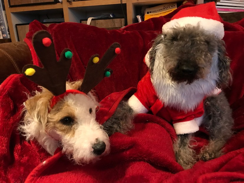 6D29F18E-16E0-47F7-8814-3E9EA6FB5369