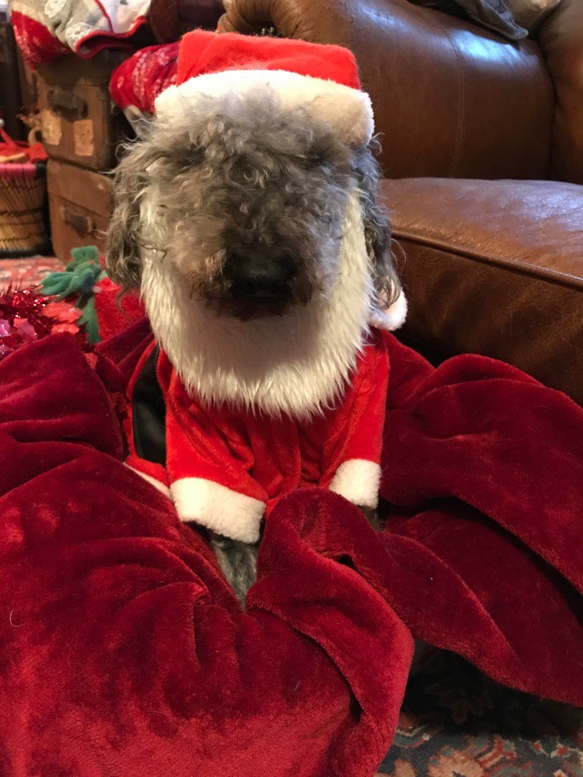 723BE318-ADA8-4669-8A55-ECA62A758526