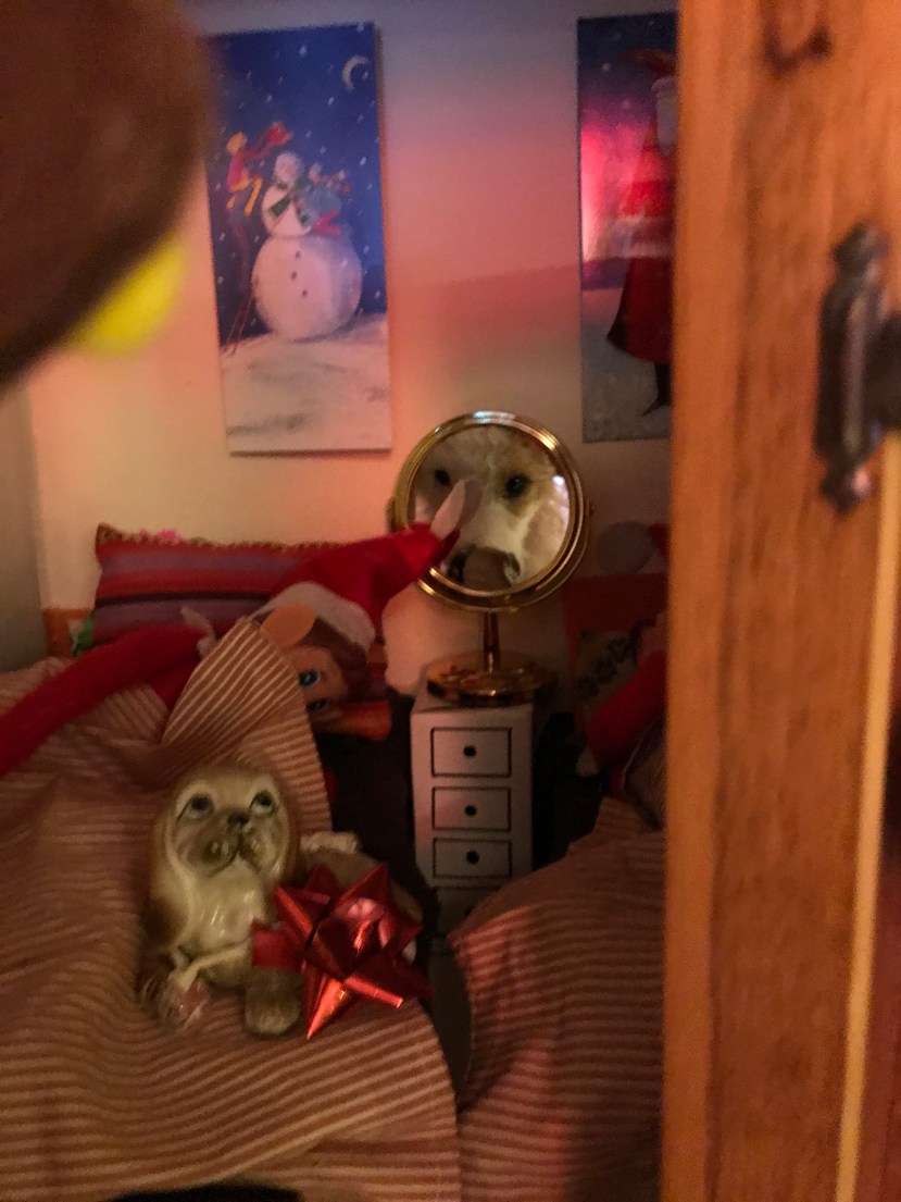 A77A46E8-DF78-4A73-A19D-823CCB336F34