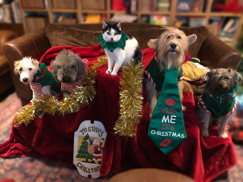 D11003EE-5BC8-4625-B168-8BA1D2216E46