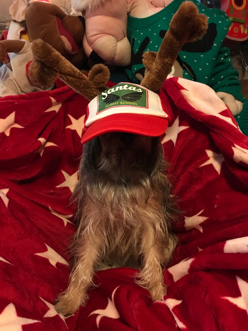 D663E142-7AF7-4031-856C-3193BE62CE3A