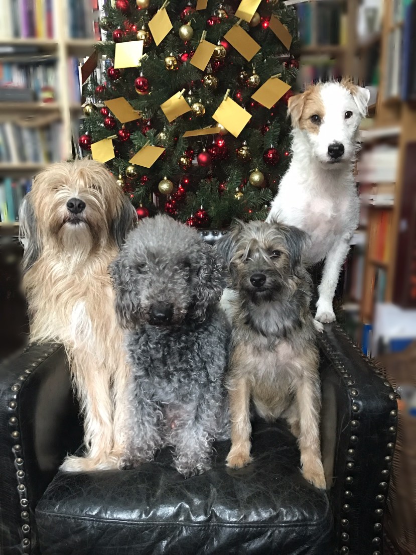 D6CE9007-7A35-4AAD-89F8-4FEE58BE9009