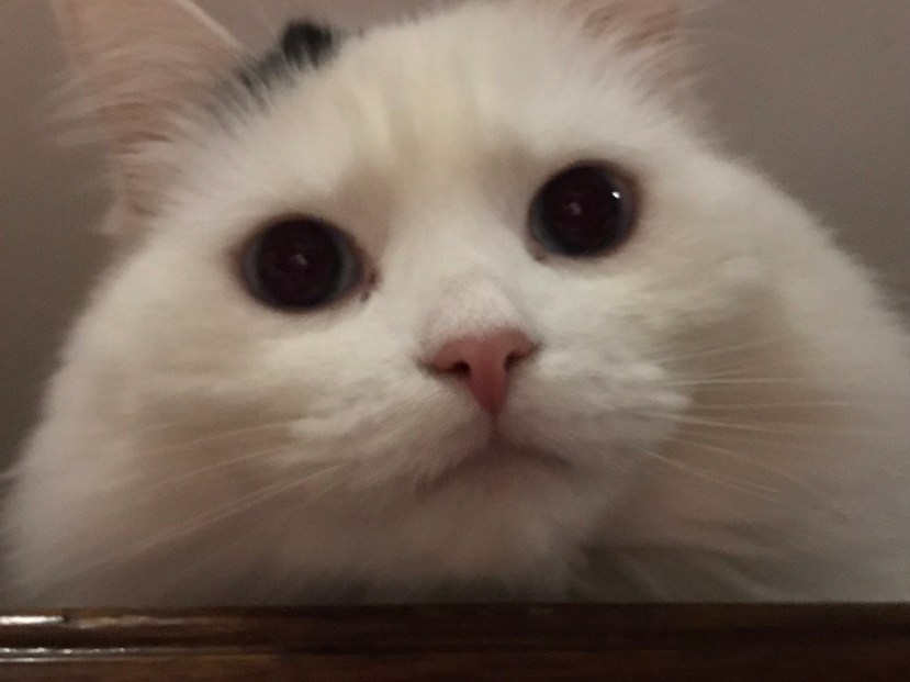 D72A6B4E-85B1-4187-8B92-2CB297FCB851