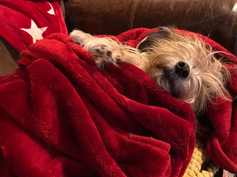 FB3D3390-7DFB-4F0F-B337-67B9E7F016F7