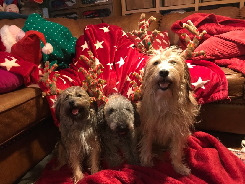 FBA6BA6C-D086-4997-8DAF-B08C89F7177A