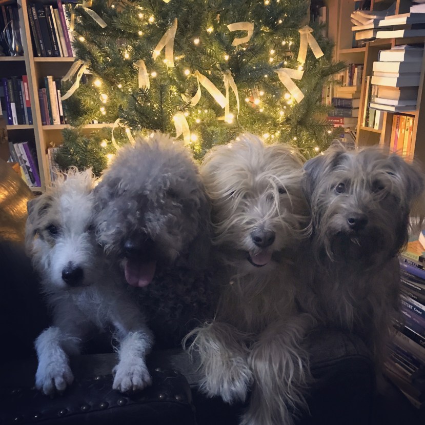 0AAC8D06-5F72-47DE-BF6D-39B5A5361425