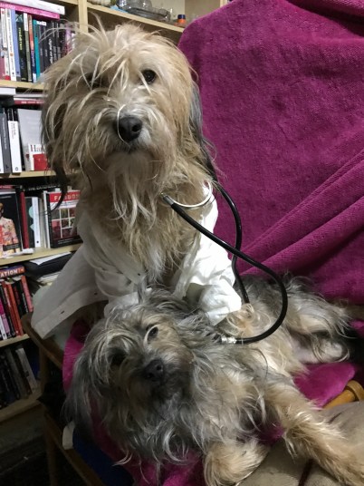 3A5FD5B0-B36B-45A1-A0FF-347CD82619CD