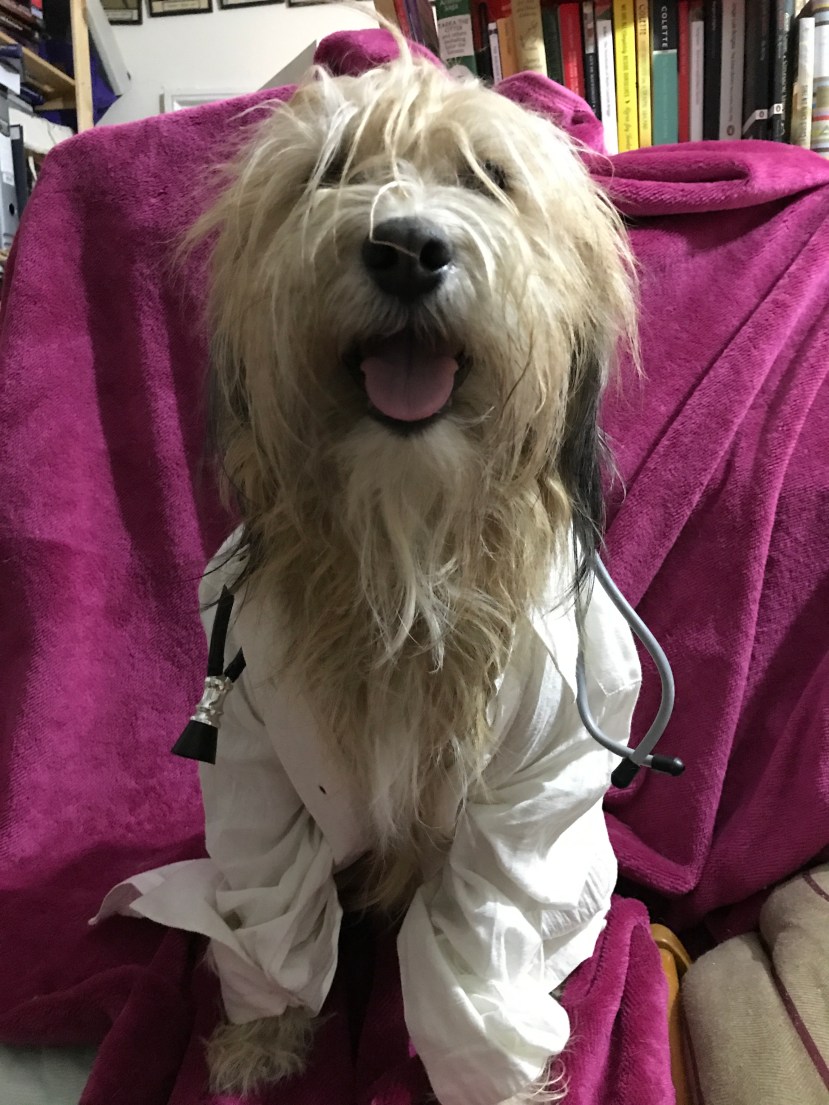 DCDC791F-4C97-4004-A7E7-1829030B3BD1