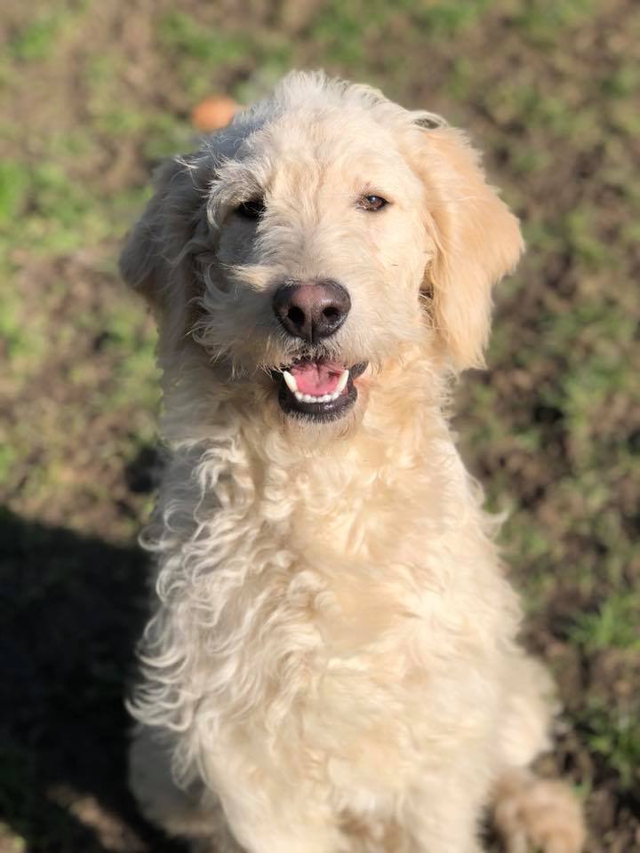 0095FBEE-8D4B-4522-B1ED-6C21DD8E977B