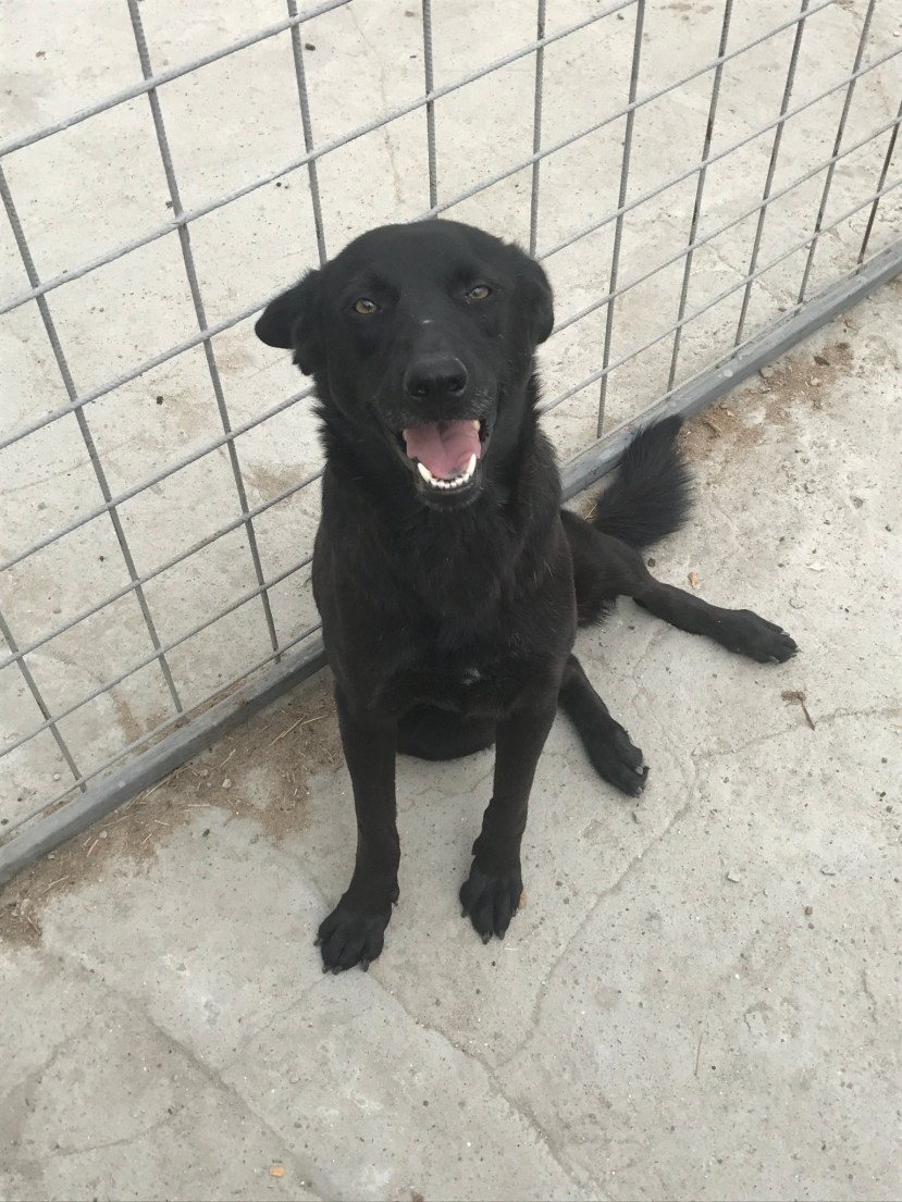 01270CA0-F765-476A-B1F8-DC8CA8580248