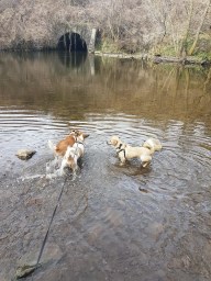 2331756F-FFD2-48F1-8B13-5F777DDD3312