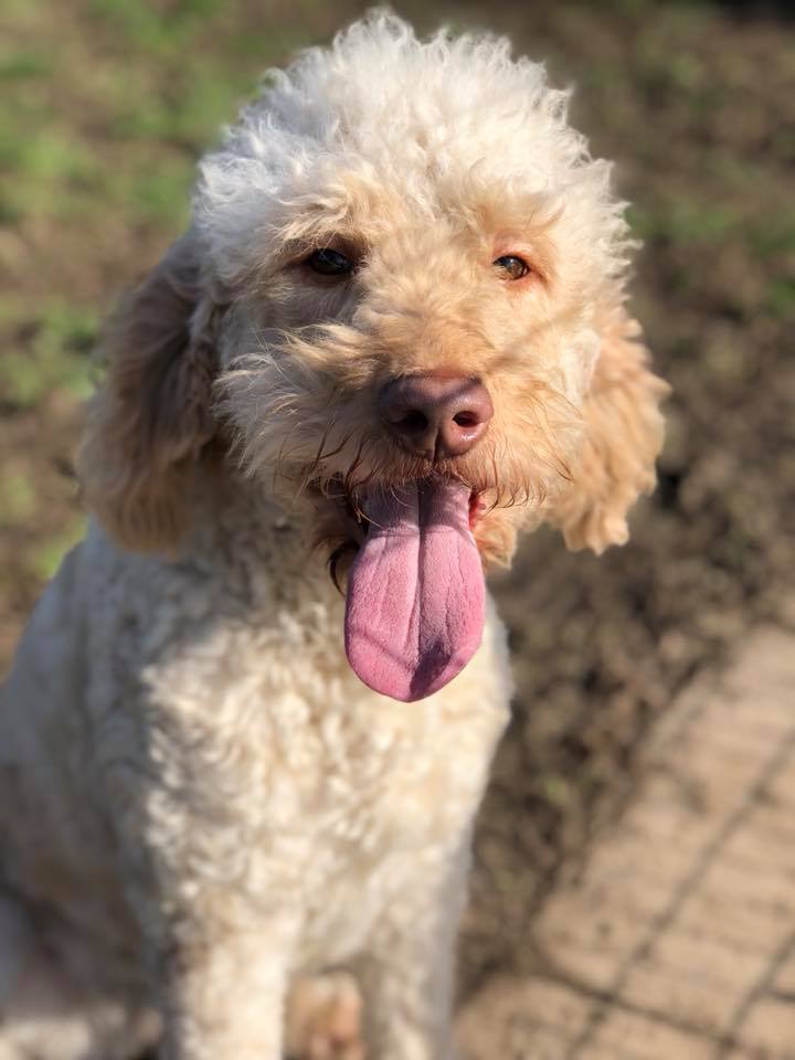 23B0835E-1DD8-4353-A958-2F1B82D0CFC9