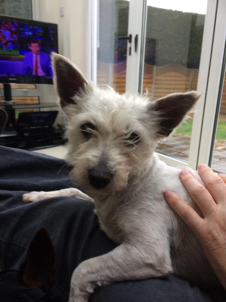 2D525A3B-0ED6-44F3-B8B8-6F5BC9D3F587