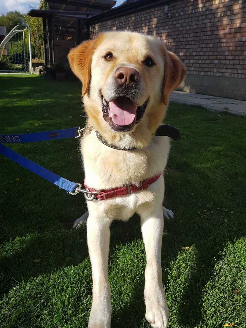 3A361117-429D-4EA0-BA89-4D2770E85C2F