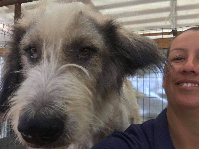 3CD3934D-46CD-4FB8-97F8-3FB3AD3BB418