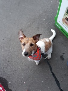 463CBAA6-FAD3-454B-AA72-496637FA3860