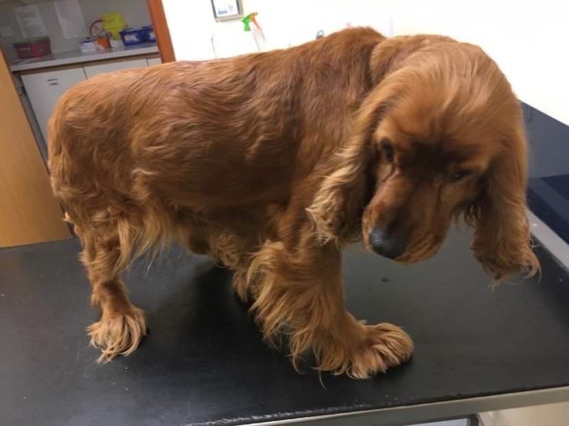 4D91C71C-392D-4FDF-B69D-6D9CE176BA9F