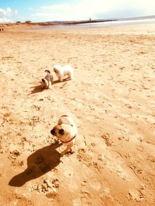 530031A2-4384-4B79-B451-FF465AABA426