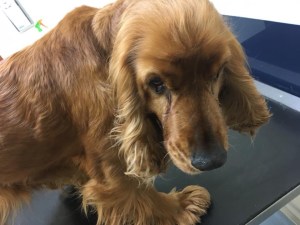 61610693-A197-4A68-9A13-5BABEB41033A