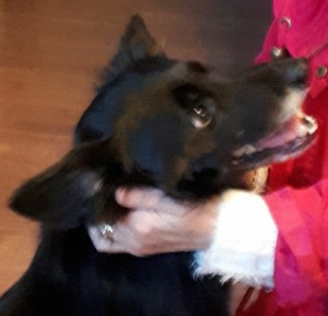 8F03E99B-067E-49FC-B4A7-433A629D7980