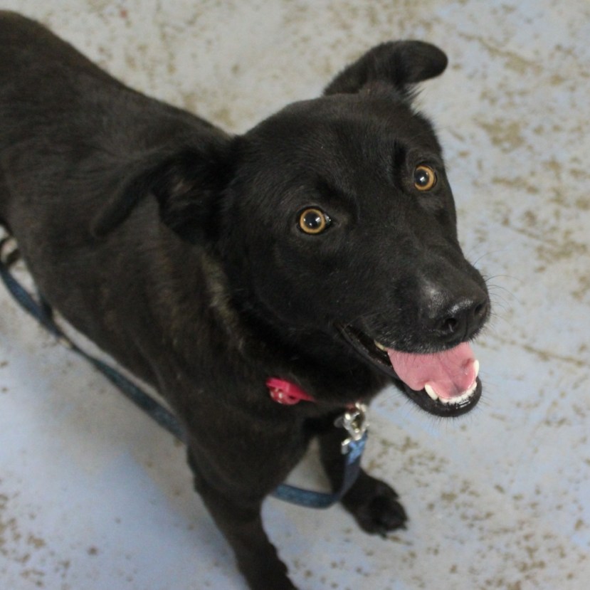 9FF86F86-B396-4069-B83F-27D4C69E4D72