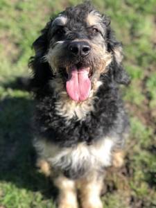 A4DEB65F-F5C5-4748-A75A-552D9E32A481