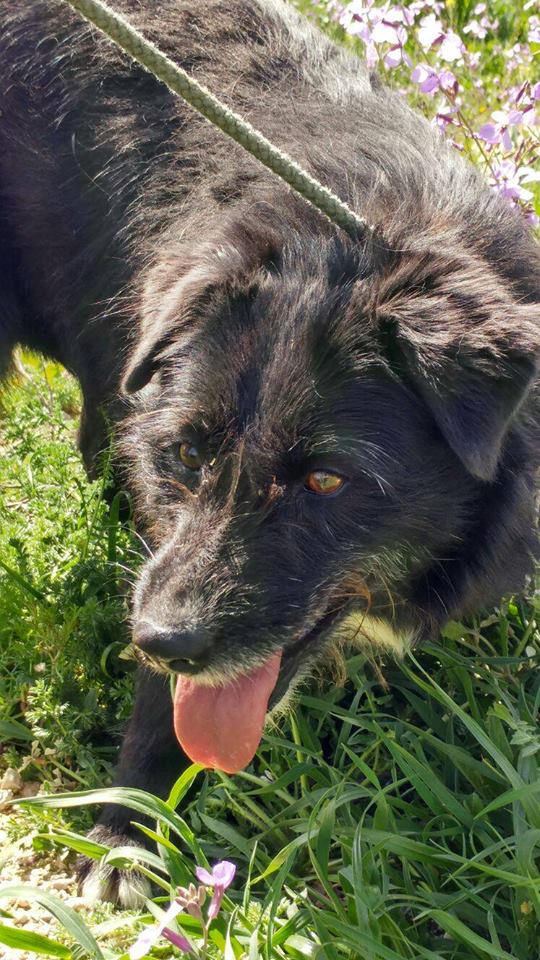 B5E38F29-C728-4297-8DBD-E14B1EF952F9