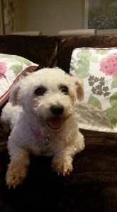 C4D583F9-579F-48EE-866C-24D66A691ED8