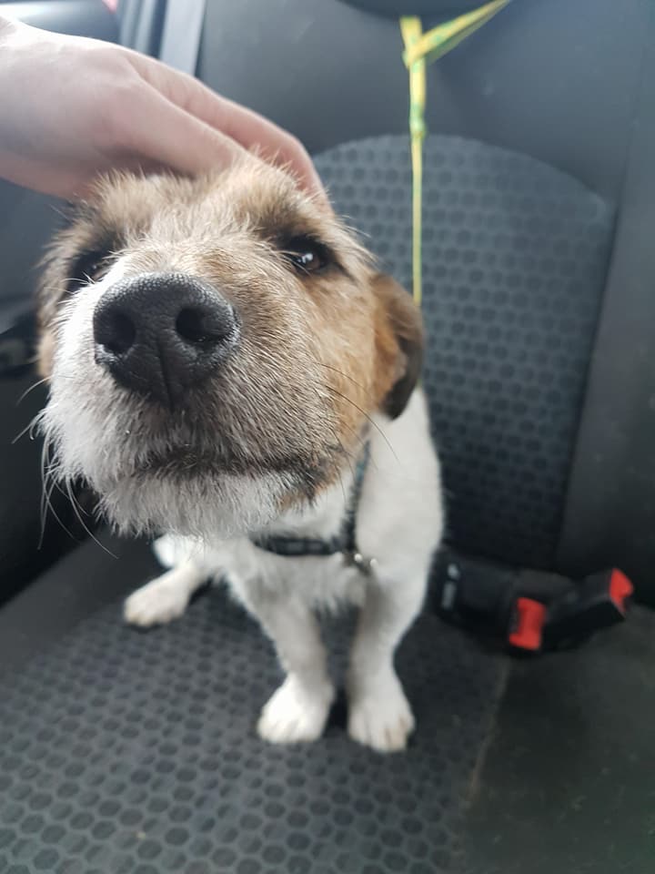 CBF2A07A-3F19-4AD3-9D83-6B7387AEC9E9