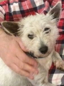 CCCCBC52-92EE-4BFD-BC11-01F40E16A383