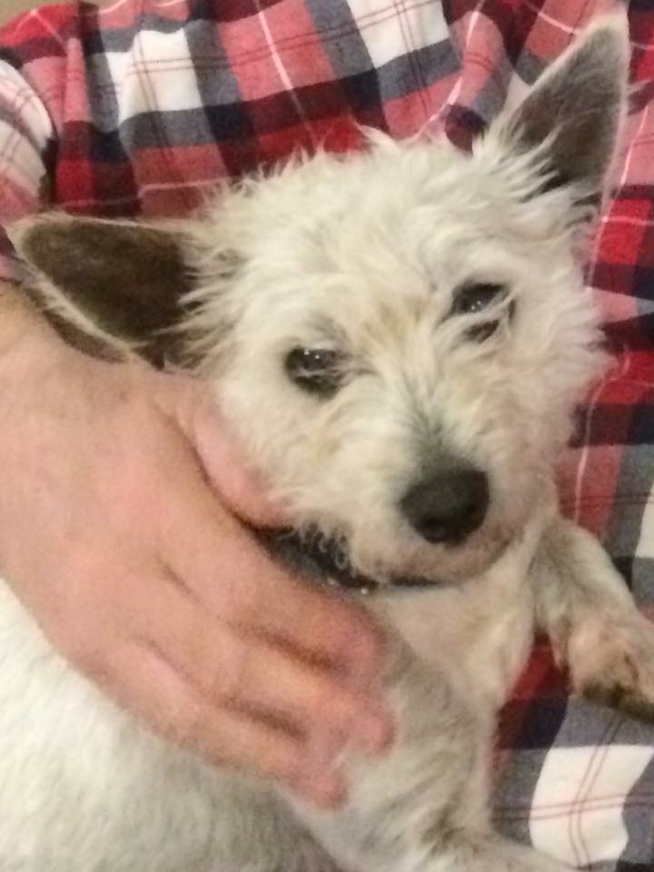 CCCCBC52-92EE-4BFD-BC11-01F40E16A383