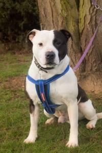 D9ABFFBB-E127-42EF-8536-30C397612873