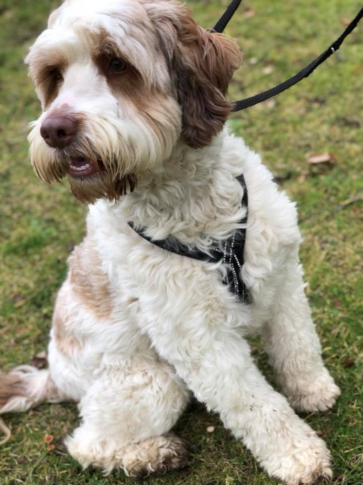 E860113E-5948-4A42-88FC-170A246AF0FA