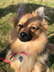 F301B9C4-2162-48CB-A01B-5C489EA2579E