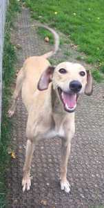 F9F08B58-9BD2-489A-98B1-5479B40A836F