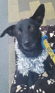 FD0F5142-5BC4-4127-A2E5-9117EC0F0B13