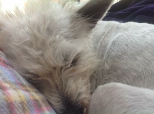 FFA4A027-6F36-4DBC-A33A-986E76CB95A8