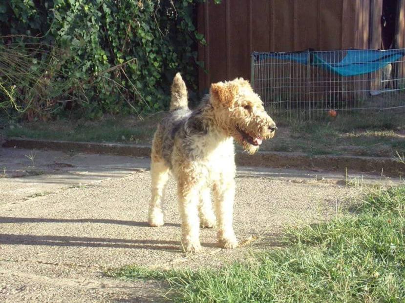 012CCC37-5CD2-4848-9451-7E880C8DF011