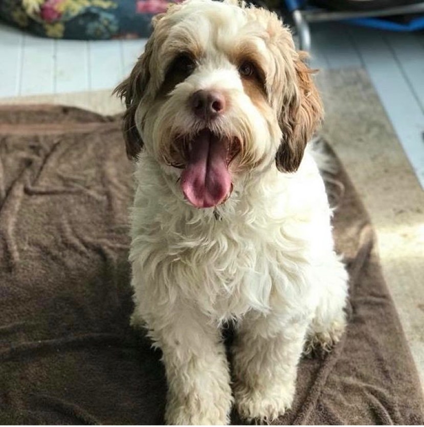 0CC66D99-7911-4281-B788-6EED3E4A2B1D