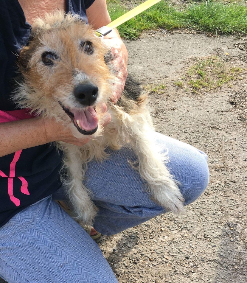 12A056A4-766D-499F-BEDE-4A0FA0573E69